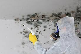 Best Asbestos and Lead Testing During Mold Inspection  in Lakemoor, IL